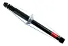 SHOCK ABSORBER REAR ASAM 70922 (фото 1)