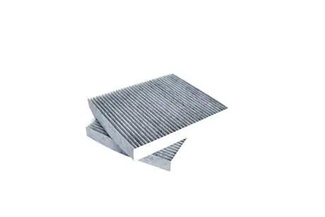 CABIN FILTER 2 PCS ASAM 71955
