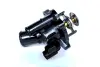 THERMOSTAT ASAM 73309 (фото 1)