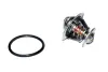 THERMOSTAT ASAM 73314 (фото 1)