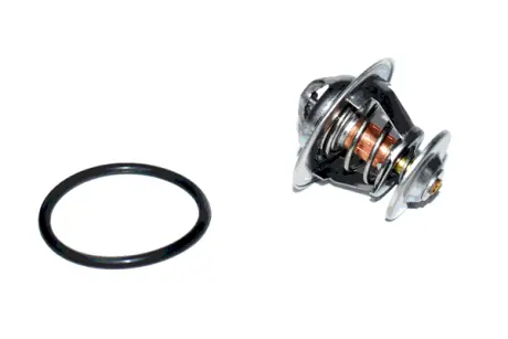 THERMOSTAT ASAM 73314