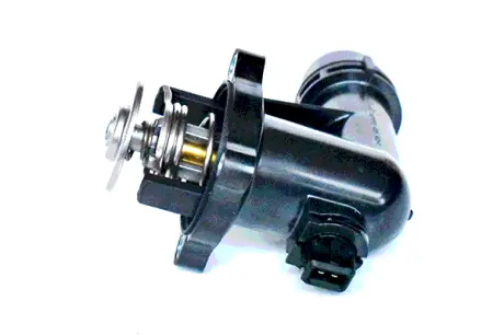 THERMOSTAT ASAM 73320