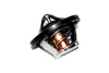 THERMOSTAT ASAM 73347 (фото 1)