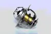 THERMOSTAT ASAM 73350 (фото 1)