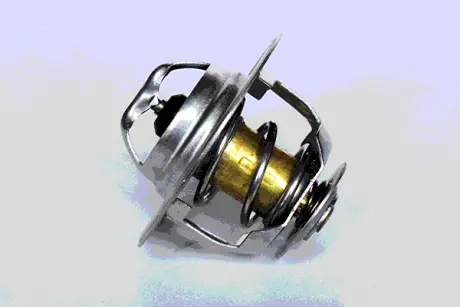 THERMOSTAT ASAM 73350