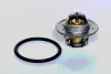 THERMOSTAT ASAM 73355 (фото 1)