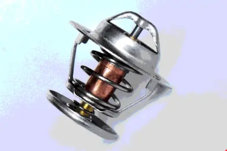 THERMOSTAT ASAM 73400