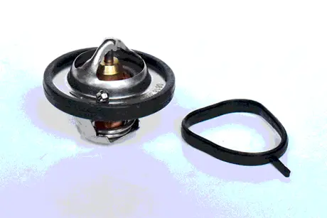 THERMOSTAT ASAM 73403