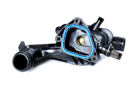 THERMOSTAT ASAM 73689