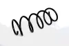 COIL SPRING ASAM 73722 (фото 1)