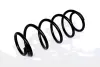 COIL SPRING ASAM 73735 (фото 1)