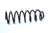 COIL SPRING ASAM 73762 (фото 1)