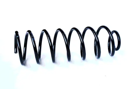 COIL SPRING ASAM 73762