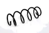 Пружина передня VW Polo IV/Skoda Fabia/SEAT Ibiza, Cordoba (02-12) Asam ASAM 73769 (фото 1)