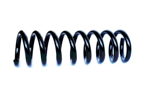 COIL SPRING ASAM 73790