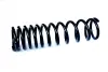 COIL SPRING ASAM 73797 (фото 1)