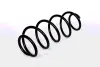 COIL SPRING ASAM 73804 (фото 1)