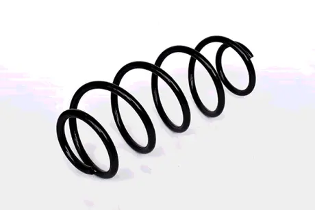 COIL SPRING ASAM 73804