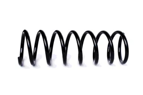 COIL SPRING ASAM 73805