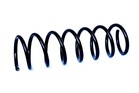 COIL SPRING ASAM 73807