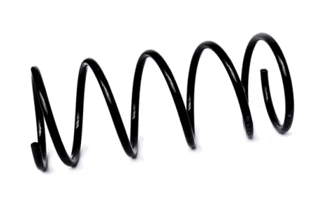 COIL SPRING ASAM 73808