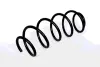 COIL SPRING ASAM 73809 (фото 1)
