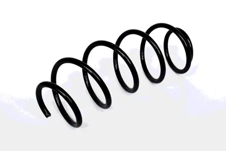 COIL SPRING ASAM 73809