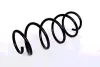 COIL SPRING ASAM 73814 (фото 1)