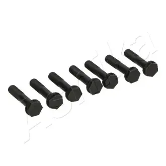 Болт, кронштейн зубчатого венца - маховик ASHIKA 5405500