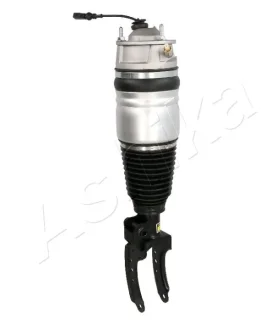 Амортизатор газомасляний ASHIKA MAAS091
