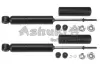 Амортизатор ASHUKI N33079I (фото 1)