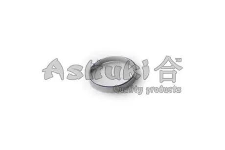 Комплект тормозных колодок, дисковый тормоз ASHUKI P10005