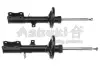Амортизатор ASHUKI T35038I (фото 1)