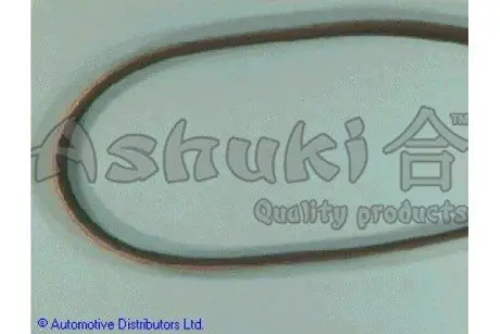 Поликлиновой ремень ASHUKI US39613
