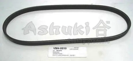 Поликлиновой ремень ASHUKI VM40810