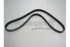 Поликлиновой ремень ASHUKI VM61100 (фото 1)