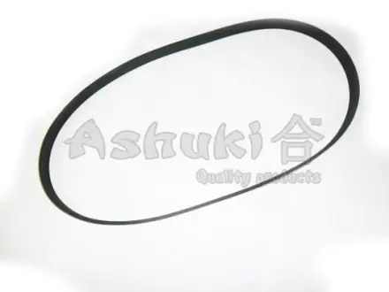 Поликлиновой ремень ASHUKI VM61220