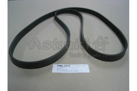 Поликлиновой ремень ASHUKI VM61875