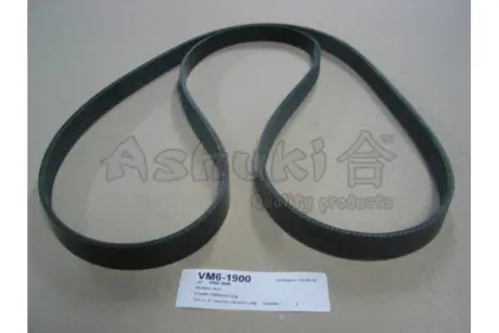 Поликлиновой ремень ASHUKI VM61900