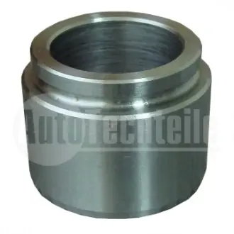 Поршенек пер. суппорта AUTOTECHTEILE 100 4270