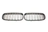 Решітка радіатора BMW X5 (E70)/X6 (E71) 06-14 (к-кт) AUTOTECHTEILE 700 0322 (фото 1)