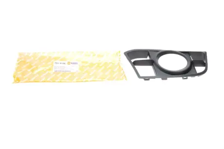 Вставка бампера (під протитуманку) BMW 5 (F10/F11) 09-17 (M-Technic) (R) AUTOTECHTEILE 703 5156