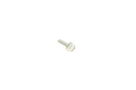 Болт (M6x1x20mm) AUTOTECHTEILE 940 0029
