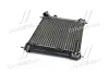 Радіатор, Система охолодження двигуна AVA QUALITY COOLING DN2354 (фото 2)