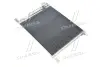 Радіатор кодиціонера AVA QUALITY COOLING DWA5139D (фото 1)