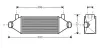 Інтеркулер Ford Transit 2.4TDDI (00-) AVA AVA QUALITY COOLING FDA4314 (фото 1)
