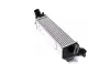 Інтеркулер H1 2.5 CRDi MT/5 (Ava) AVA QUALITY COOLING HY4489 (фото 1)
