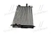 Радіатор охолодження двигуна CITROEN BERLINGO/C4/PEUGEOT 3008/OPEL VIVARO (Ava) AVA QUALITY COOLING PE2386 (фото 2)