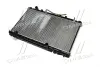Радіатор, Система охолодження двигуна AVA QUALITY COOLING TO2464 (фото 3)