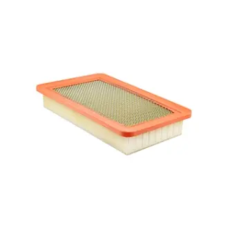 Air filter. Фильтр воздушный BALDWIN FILTERS PA10006